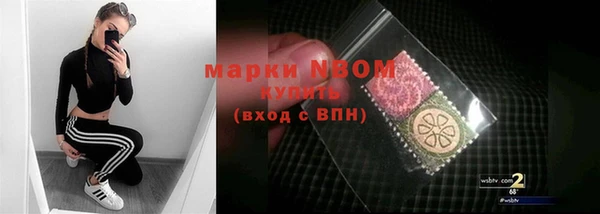 прущий лед Нестеровская