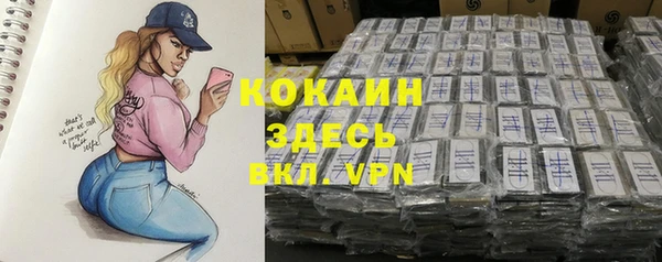 хмурый Калининец
