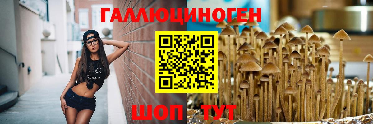 Галлюциногенные грибы мухоморы  Галлюциногенные грибы Psilocybe  Россия 