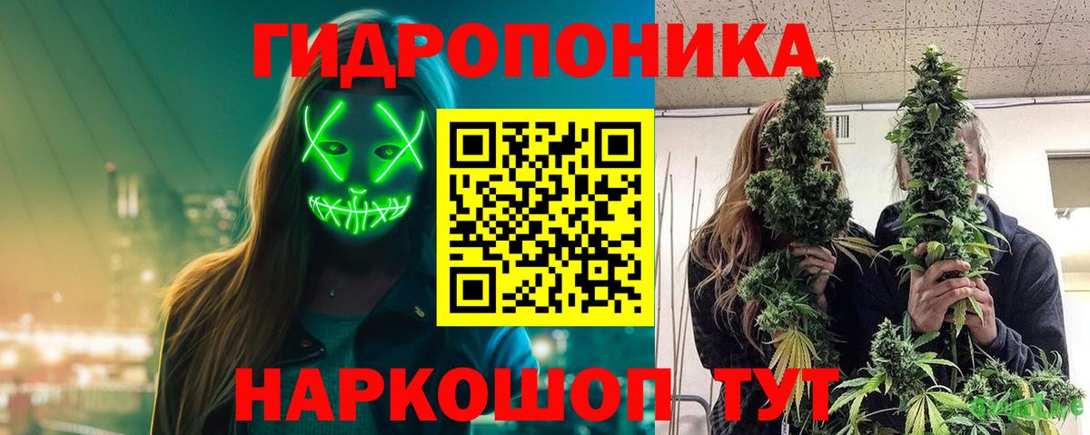 Бошки Шишки ГИДРОПОН  Каннабис Bruce Banner  Россия  Конопля планчик 
